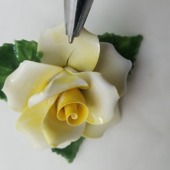 Royal Adderley Porcelain Yellow Rose Flowers - Picture 13 of 14
